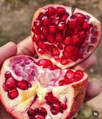 Pomegranate