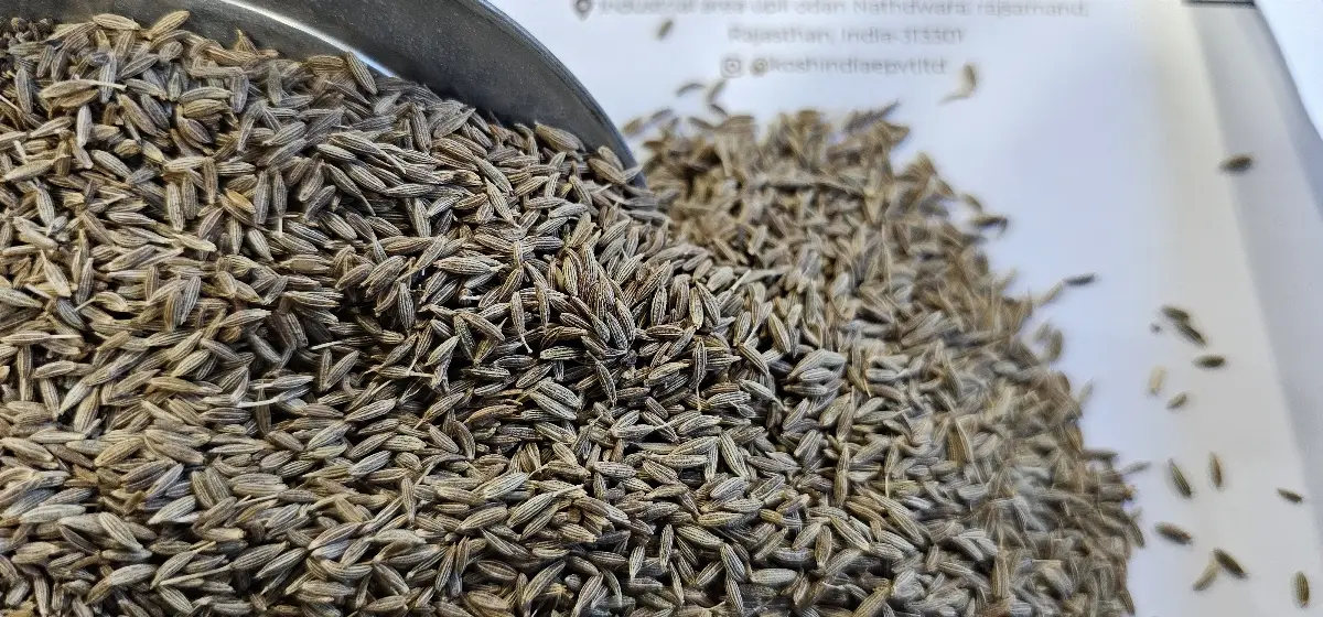 Cumin Seeds