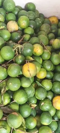 Dalndan Lemon