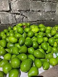 Avocados