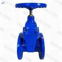Flanged Soft-Seal Gate Valve