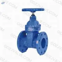 Rising Stem Resilient Seated Gate Valve