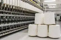 Cotton Yarn