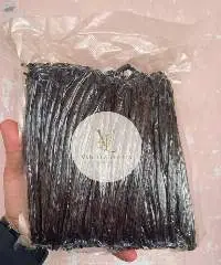 Vanilla Bean Planifolia