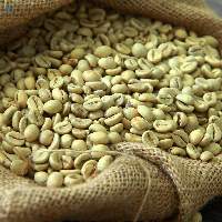Premium Green Coffee Beans