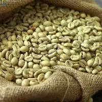 Premium Green Coffee Beans