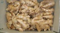 Fresh and Processed Ginger