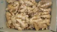 Fresh and Processed Ginger