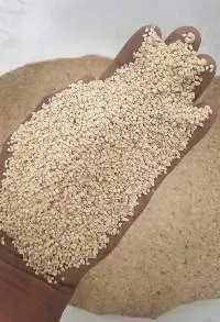 Premium Whitish Pure Humera Sesame Seeds