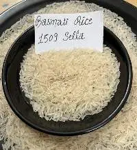 Premium Basmati Rice 1509 Extra Long Grain