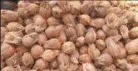 Natural Indian Coconut Premium Quality