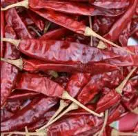 Fresh Dried Red Chilli Premium Grade