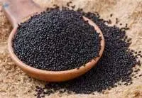 Fresh Harvest Sesame Seeds Premium Grade