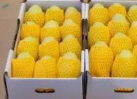 Organic Fresh Mango