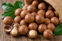 Whole Premium  Macadamia Nuts