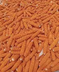 Red Corn