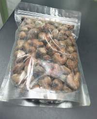 Raw Cashew Nut