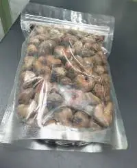 Raw Cashew Nut