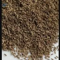 Machine Cleaned / Sortex Clean Cumin Seeds (Jeer