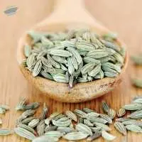 Machine Cleaned / Sortex Fennel Seeds (Saunf)
