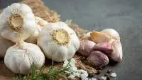 Farm Fresh Natural Garlic Premium Quality
