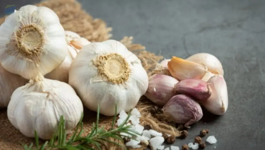 Farm Fresh Natural Garlic Premium Quality
