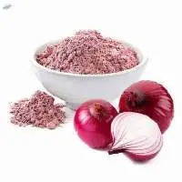 Premium Natural Onion Powder for Cooking
