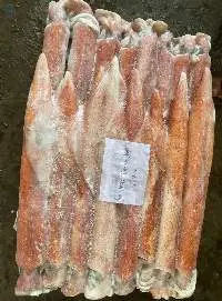 Squid Whole