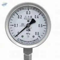 Yb Series Stainless Steel Pressure Gauge