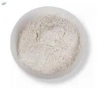 Garlic Powder