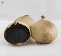 Black Garlic Solo