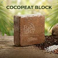 Cocopeat Block Low EC