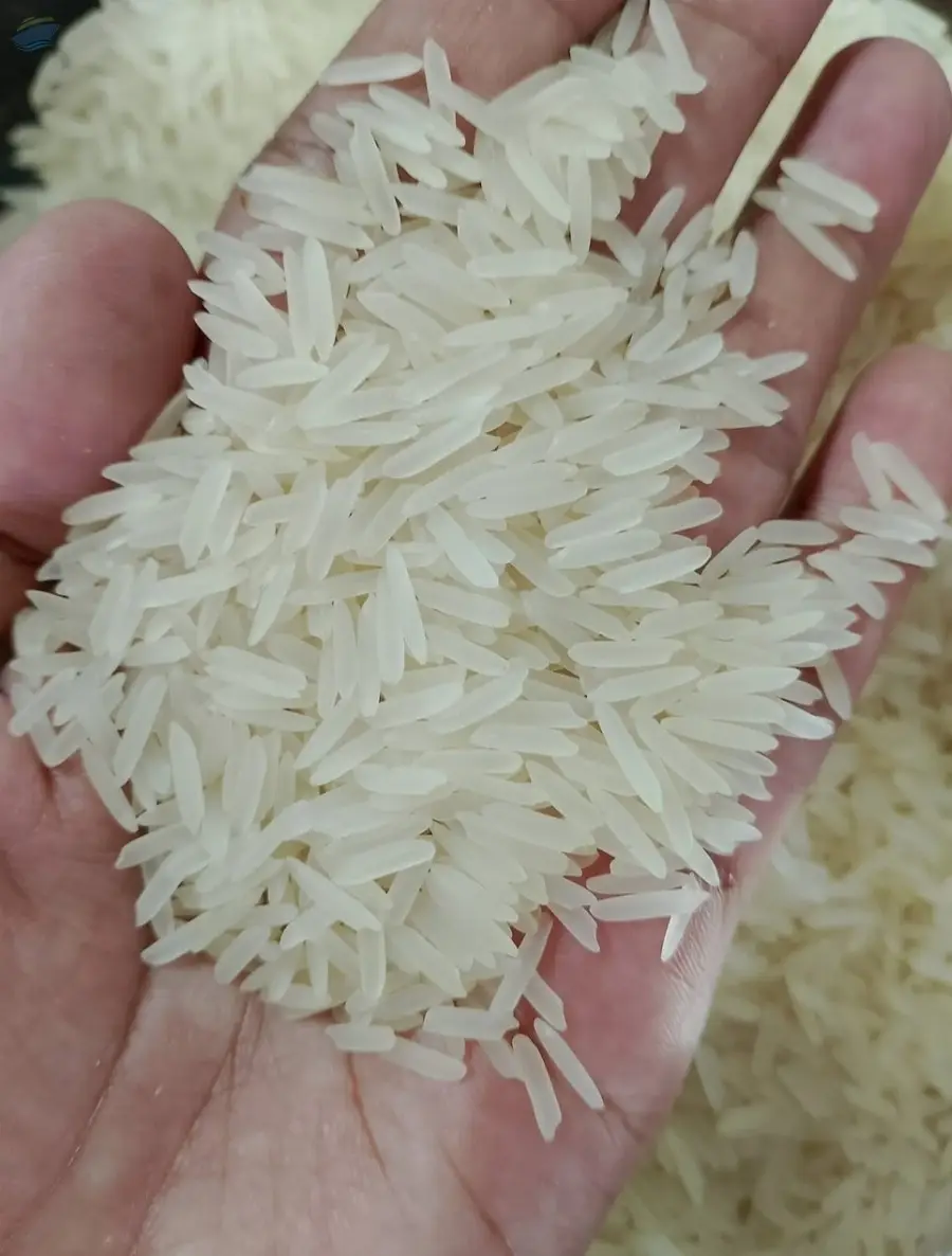 Basmati Rice