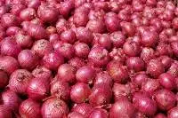 Onions