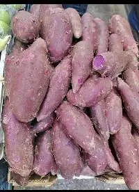 Sweet Potato