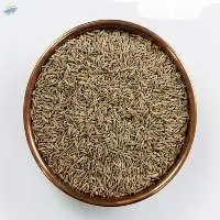 Roasted Cumin Seeds Whole Jeera Export