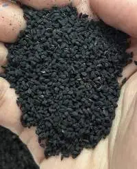 Black Cumin Seeds Kalonji Nigella Sativa