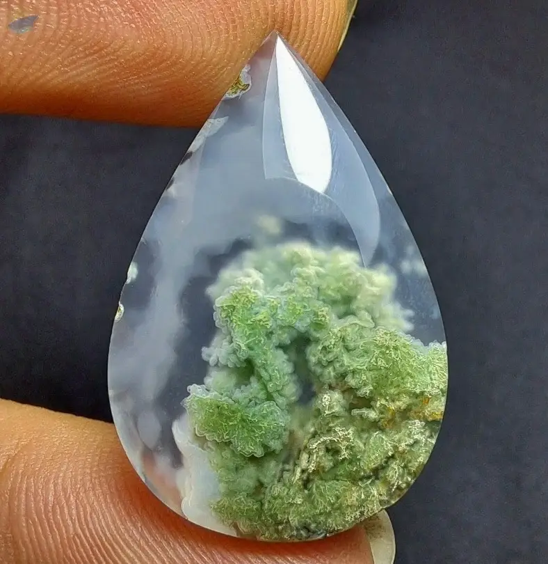 Scenic Moss Agate in Chalcedony