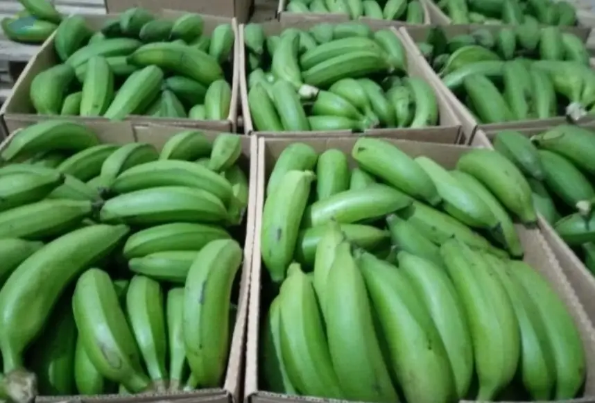 Matooke, Green Bananas