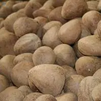 Premium Milling Grade Copra Export Grade
