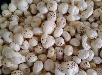 Premium Indian Fox Nuts (Phool Makhana)