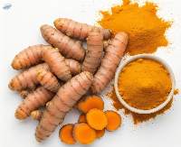 Turmeric Extract