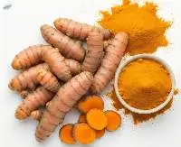 Turmeric Extract