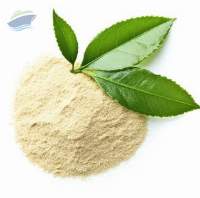 Green Tea Extract