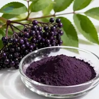 Elderberry Extract