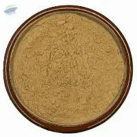 Lion's Mane Mushroom Extract 30%