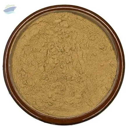 Lion's Mane Mushroom Extract 30%
