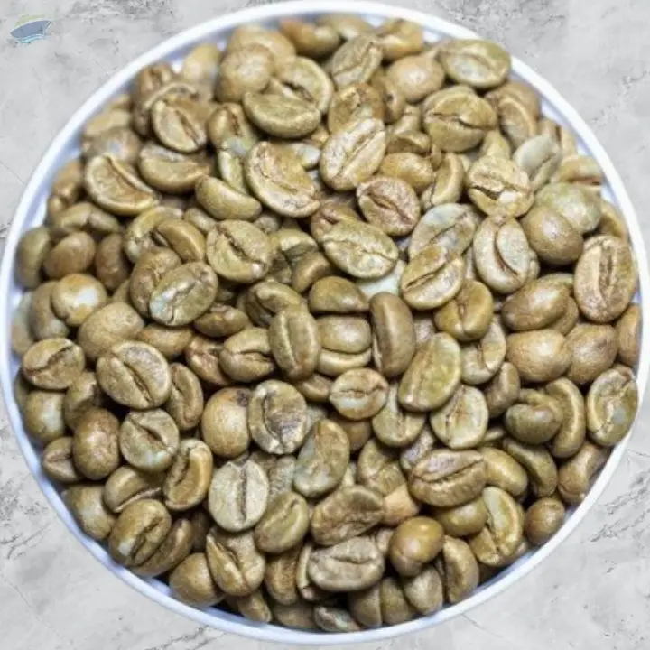 Vietnamese Robusta Green Coffee Beans