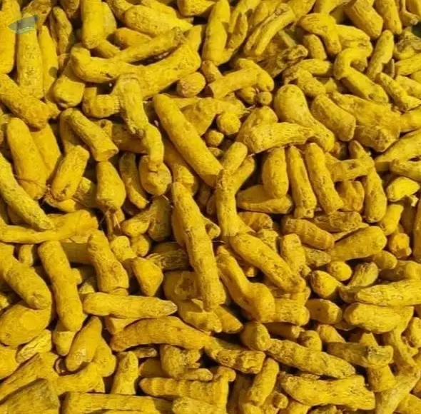 Turmeric Whole