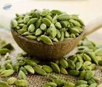 Premium Quality Green Cardamom Pods Export